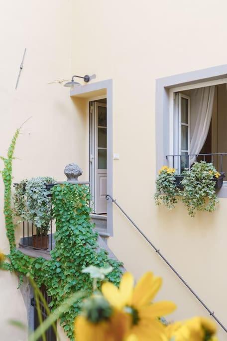 Corte Paolina - Charming Courtyard Inside Lucca Exterior foto