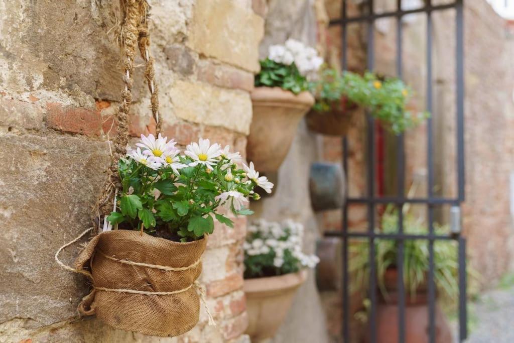 Corte Paolina - Charming Courtyard Inside Lucca Exterior foto